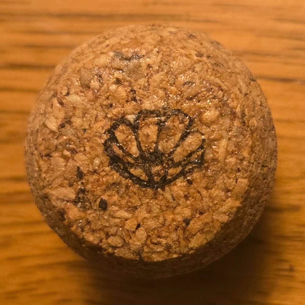 Brand New Hand Crafted Magnet Created from Champagne Cork Featuring Seashell
